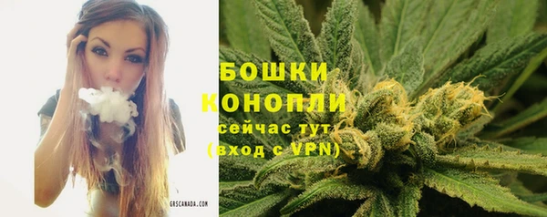 прущий лед Пересвет