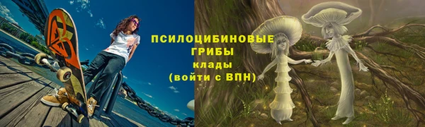 не бодяженный Арсеньев