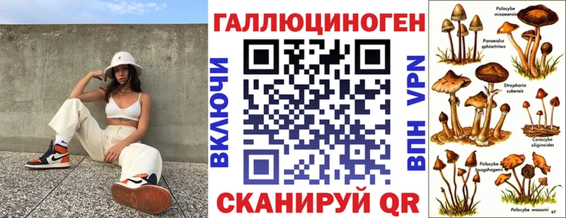 Купить  Дюртюли  Галлюциногенные грибы Psilocybe 
