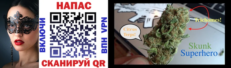 Шишки марихуана Ganja Купить Дюртюли
